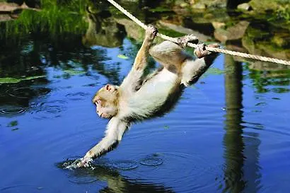 Apartament Au Petit Bonheur *