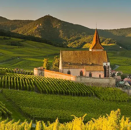 Apartament Au Petit Bonheur Thannenkirch