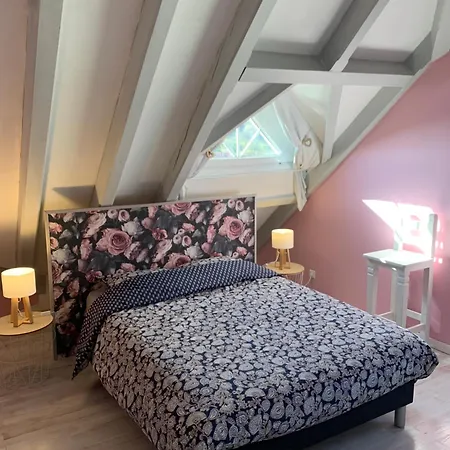 Au Petit Bonheur Thannenkirch